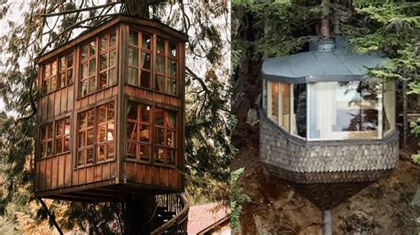 15 Next-Level Forest Houses